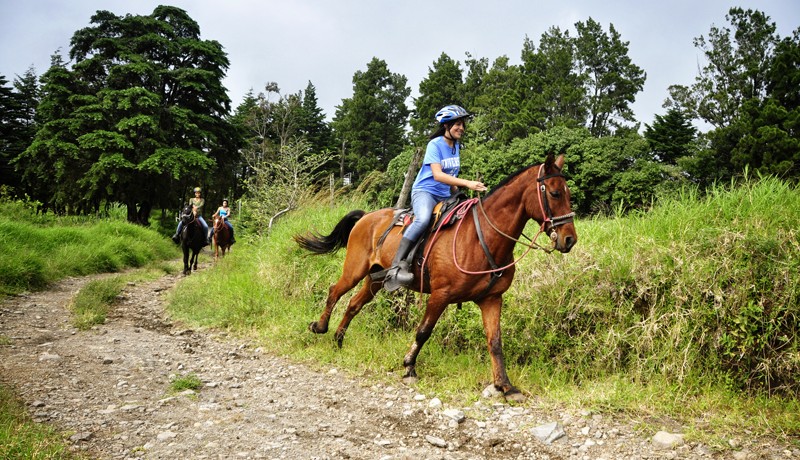 Choosing An Ethical Horse Trek In Costa Rica Horse Trekking